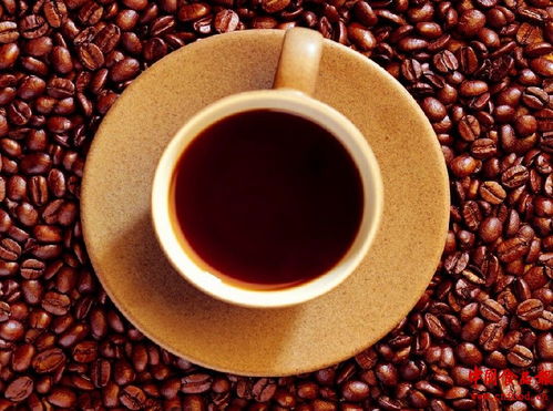 聚焦食品安全，探索行业创新——中国食品报网与“新浩艺”的深度合作之路